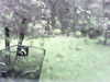 20200913-MOVI0038-frame0005.jpg