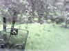 20200913-MOVI0039-frame0001.jpg