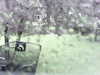 20200913-MOVI0039-frame0003.jpg