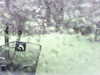 20200913-MOVI0039-frame0004.jpg