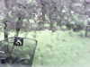 20200913-MOVI0039-frame0005.jpg