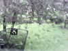20200913-MOVI0040-frame0001.jpg