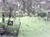 20200913-MOVI0040-frame0003.jpg
