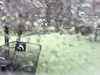 20200913-MOVI0040-frame0004.jpg