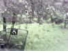 20200913-MOVI0040-frame0005.jpg