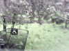20200913-MOVI0041-frame0001.jpg