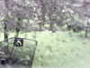 20200913-MOVI0041-frame0002.jpg