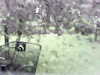 20200913-MOVI0041-frame0003.jpg