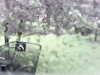 20200913-MOVI0041-frame0004.jpg