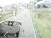 20200913-MOVI0044-frame0004.jpg