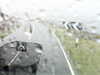20200913-MOVI0045-frame0002.jpg