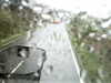20200913-MOVI0049-frame0002.jpg
