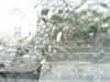 20200913-MOVI0050-frame0003.jpg