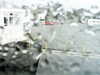 20200913-MOVI0050-frame0005.jpg