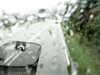 20200913-MOVI0054-frame0004.jpg