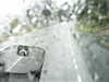 20200913-MOVI0055-frame0005.jpg