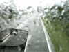 20200913-MOVI0056-frame0001.jpg