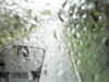 20200913-MOVI0057-frame0002.jpg