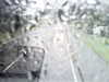 20200913-MOVI0057-frame0004.jpg
