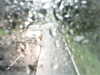20200913-MOVI0057-frame0005.jpg