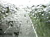 20200913-MOVI0059-frame0003.jpg