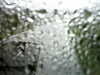 20200913-MOVI0059-frame0005.jpg