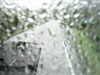 20200913-MOVI0060-frame0002.jpg