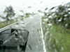 20200913-MOVI0063-frame0001.jpg