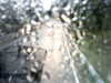 20200913-MOVI0066-frame0002.jpg
