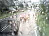 20200913-MOVI0066-frame0004.jpg