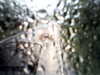 20200913-MOVI0066-frame0005.jpg