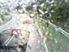 20200913-MOVI0067-frame0001.jpg