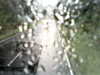 20200913-MOVI0067-frame0002.jpg