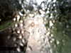 20200913-MOVI0067-frame0003.jpg