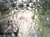20200913-MOVI0067-frame0004.jpg
