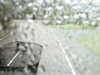 20200913-MOVI0067-frame0005.jpg