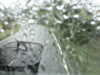 20200913-MOVI0068-frame0002.jpg