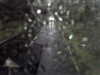 20200913-MOVI0068-frame0003.jpg