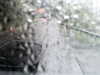 20200913-MOVI0068-frame0005.jpg