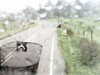 20200913-MOVI0069-frame0004.jpg
