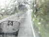 20200913-MOVI0070-frame0003.jpg
