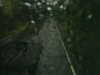20200913-MOVI0071-frame0003.jpg