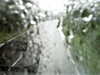 20200913-MOVI0073-frame0005.jpg