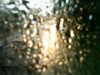20200913-MOVI0074-frame0005.jpg
