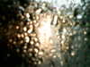 20200913-MOVI0075-frame0001.jpg