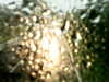 20200913-MOVI0075-frame0002.jpg