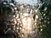 20200913-MOVI0076-frame0001.jpg