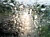 20200913-MOVI0076-frame0002.jpg