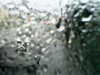 20200913-MOVI0076-frame0003.jpg