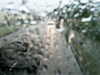 20200913-MOVI0076-frame0004.jpg